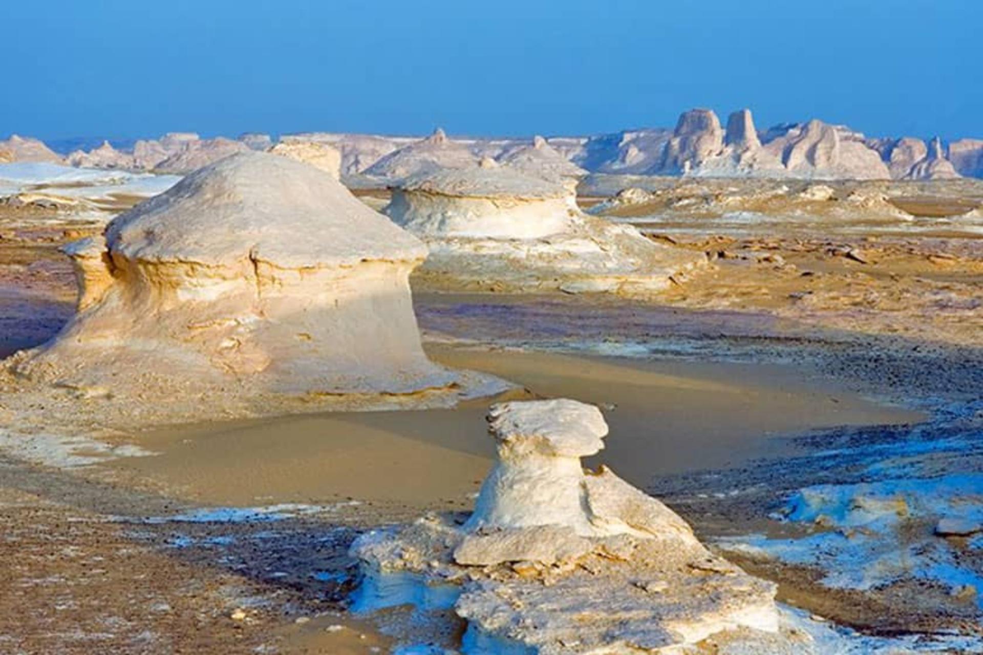 مصر