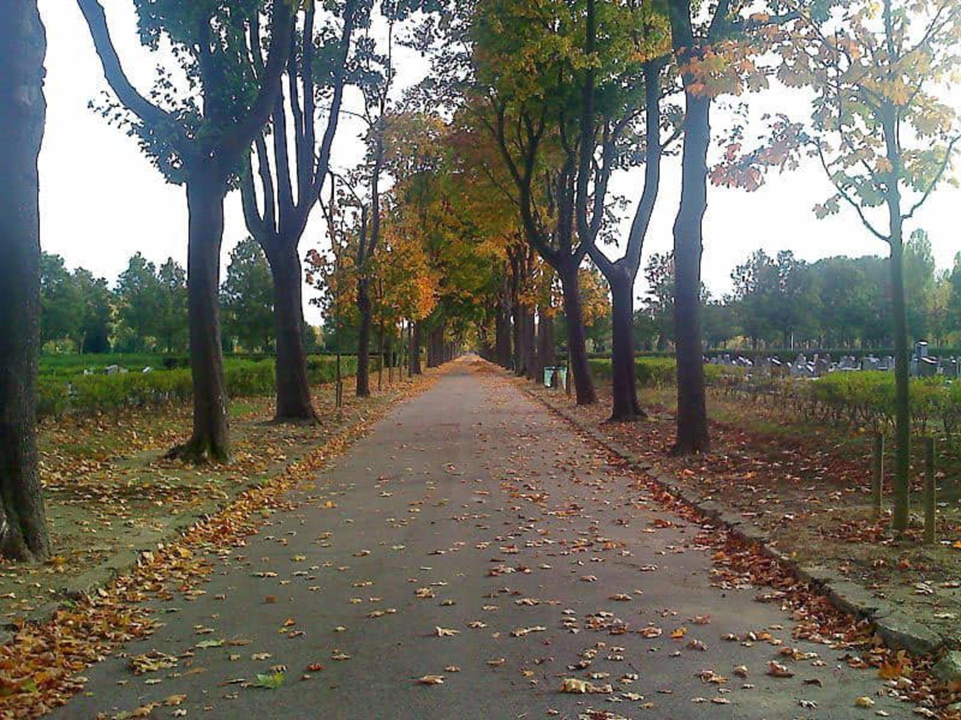 گورستان تیه- پاریس