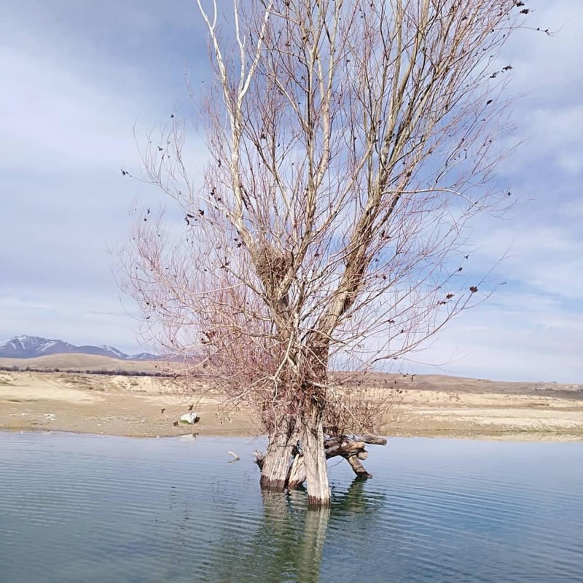 روستای سرکوبه