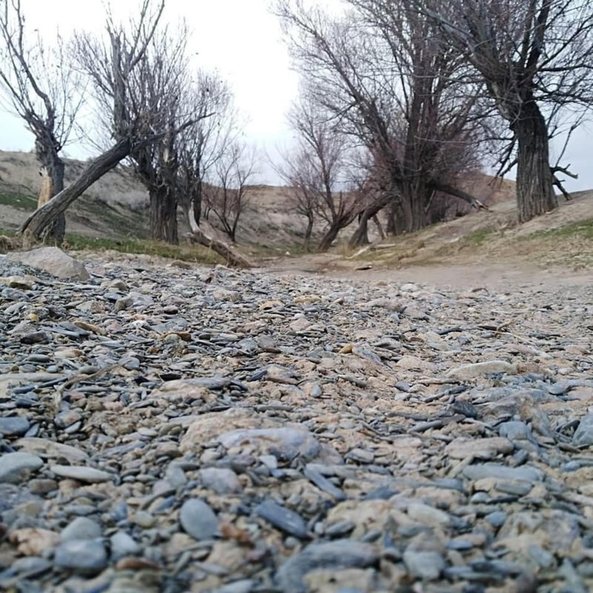 روستای سرکوبه