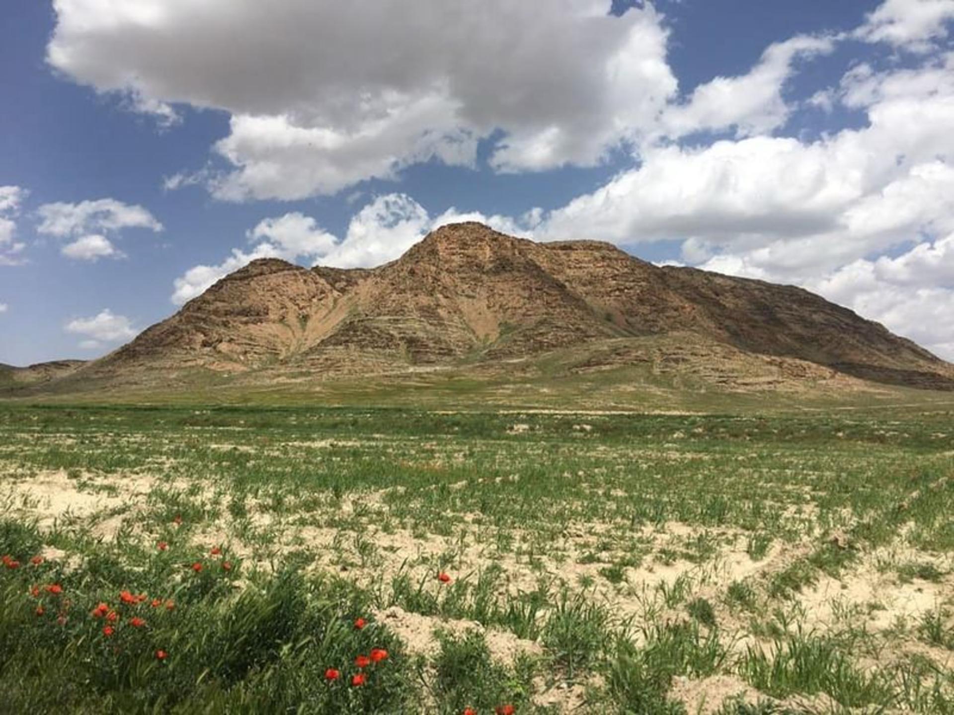 روستای سرکوبه