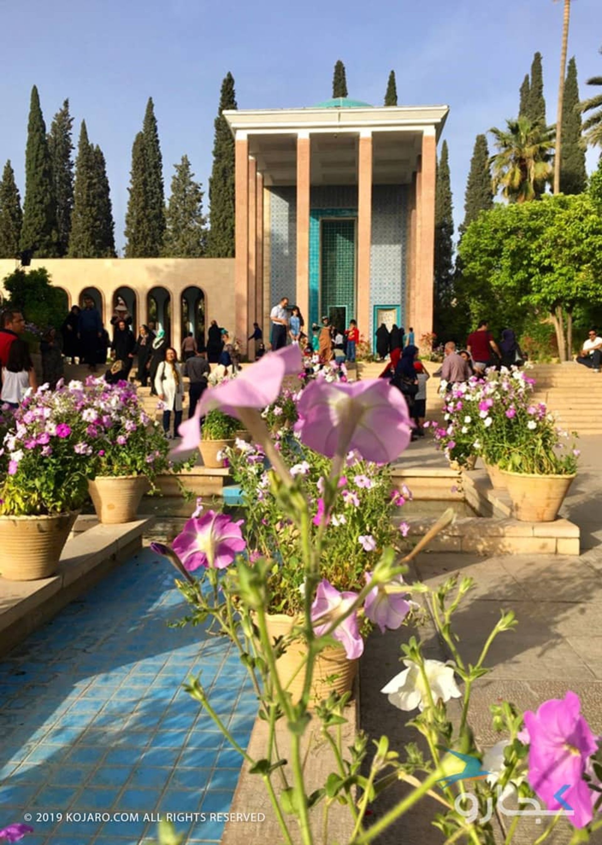 سعدیه