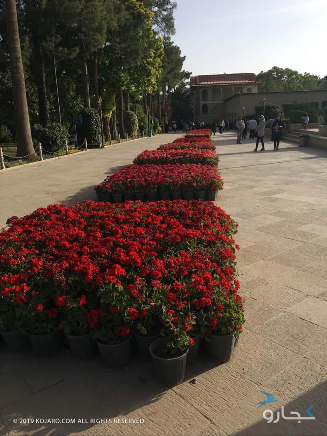 سفرنامه شیراز مسعود آقایی