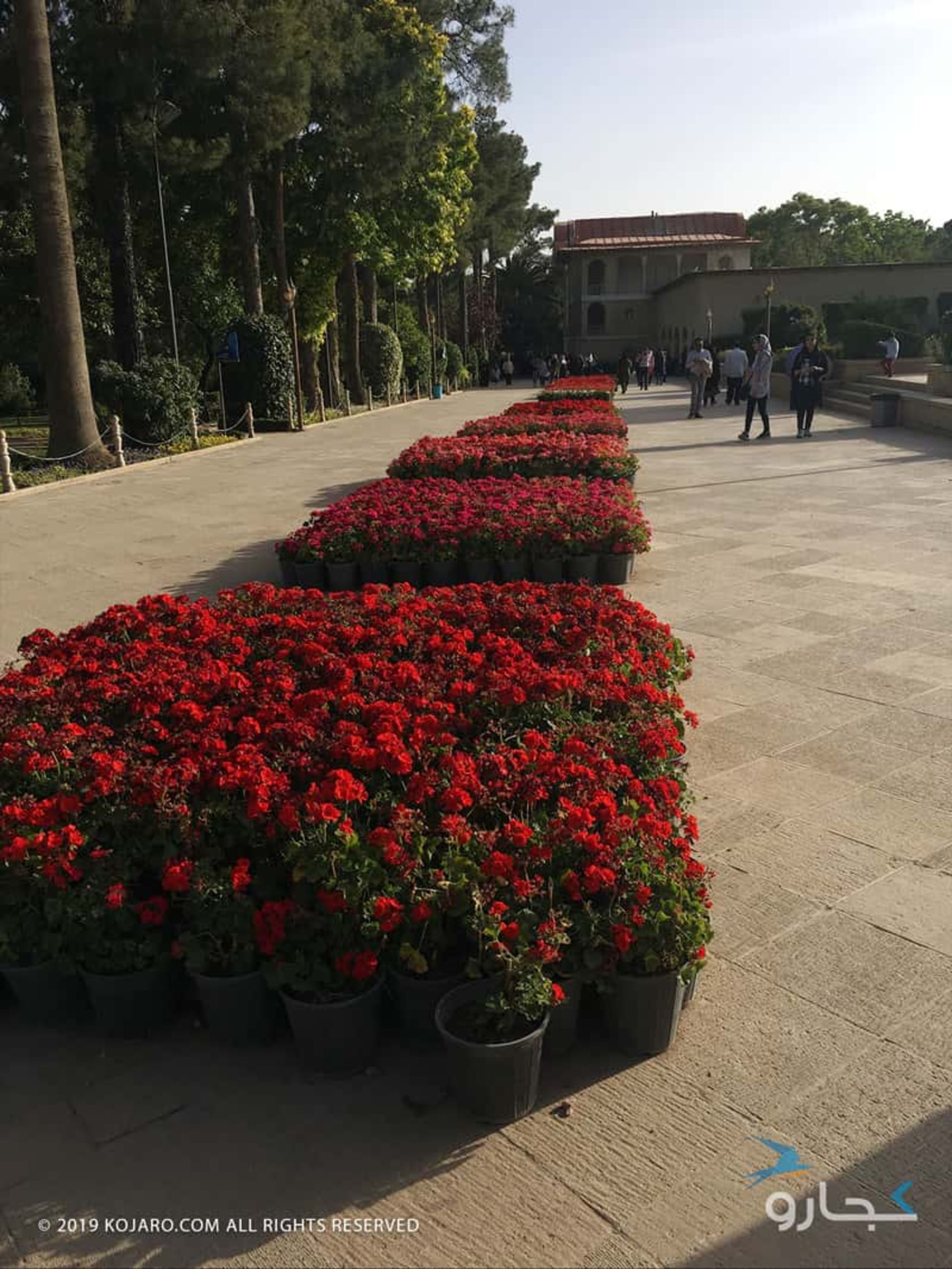 سفرنامه شیراز مسعود آقایی