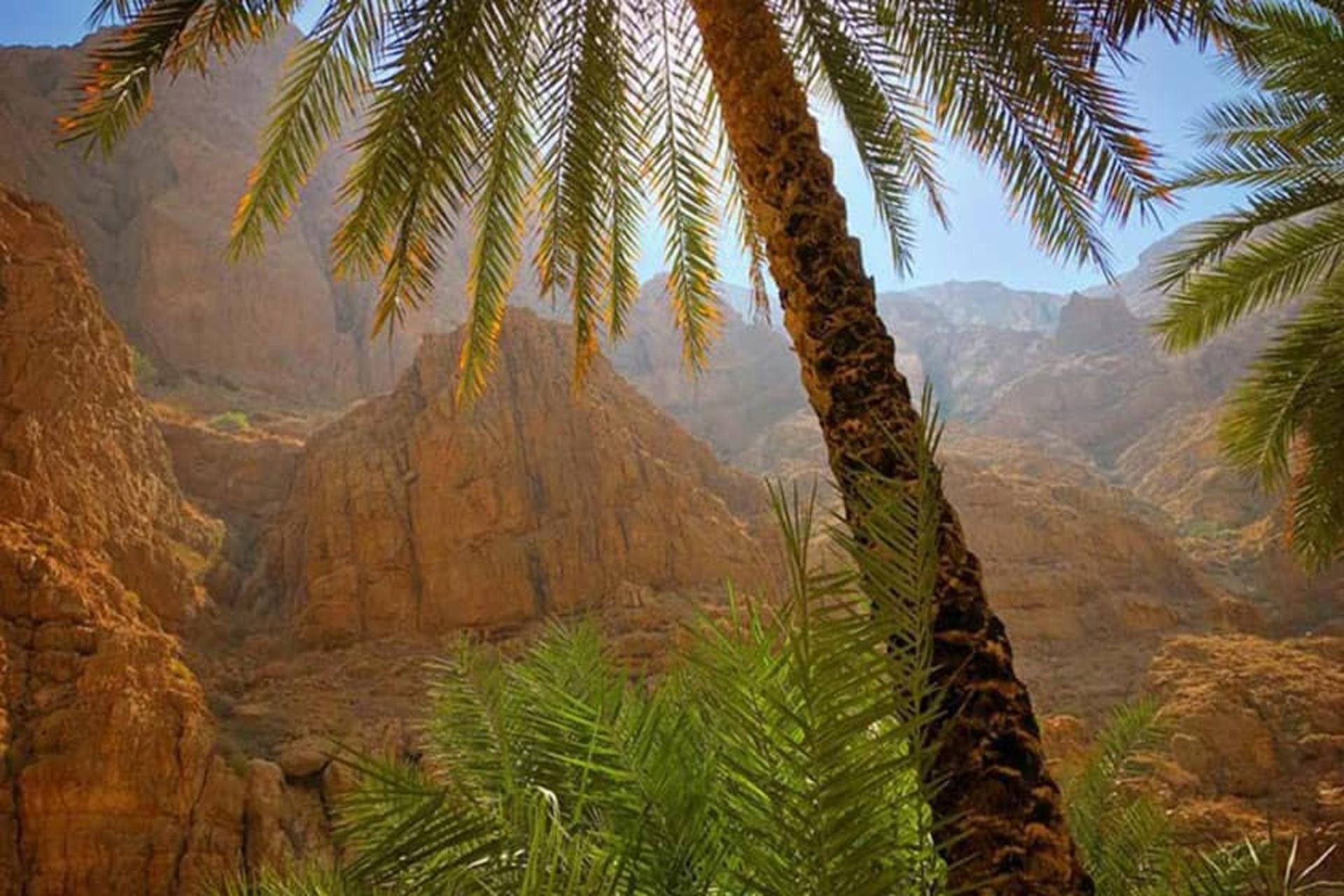 عمان