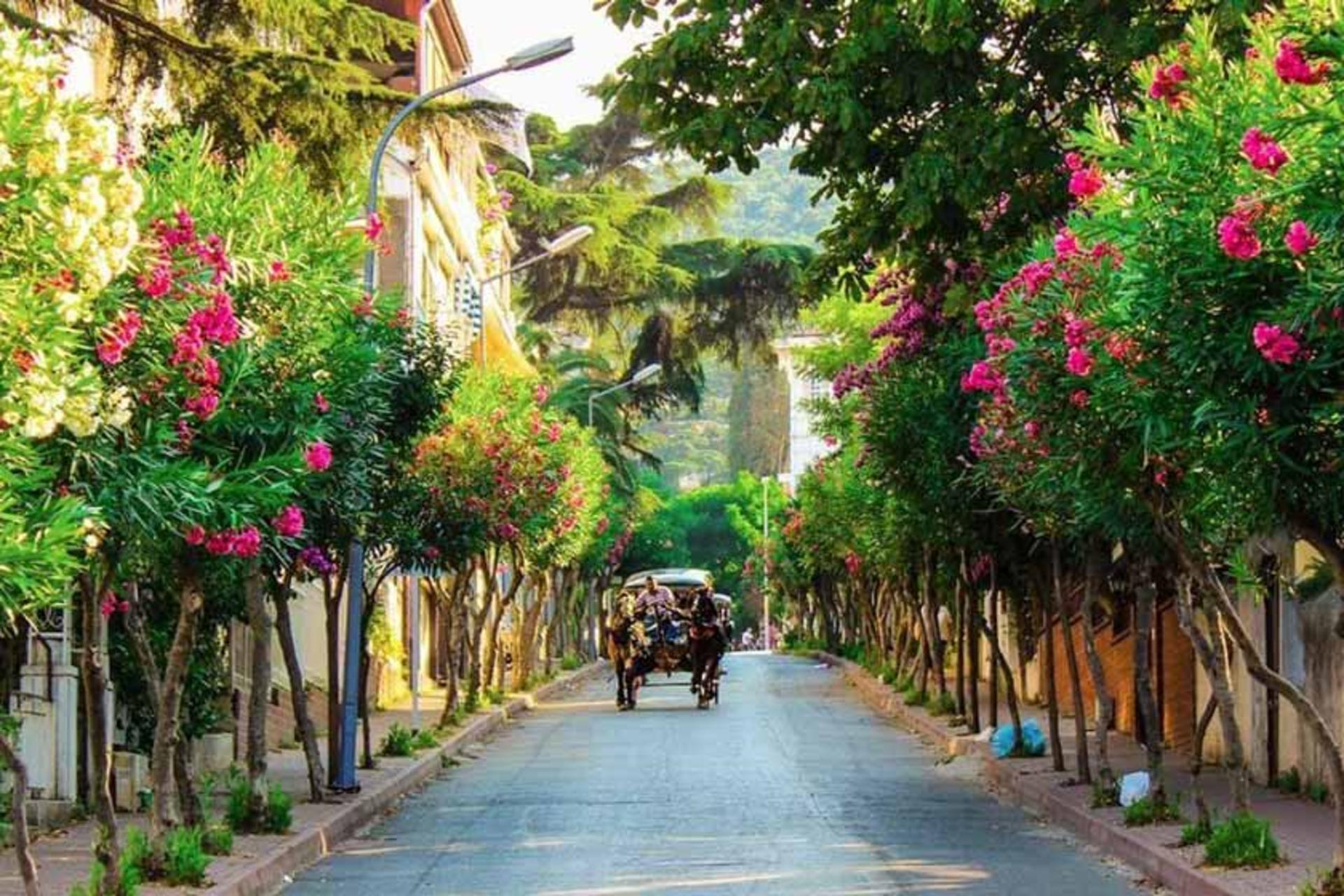 جزیره بیوک آدا