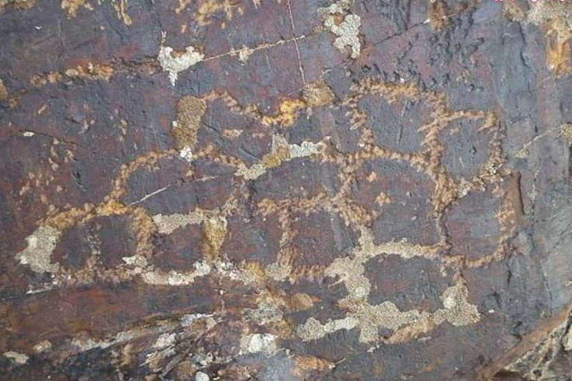 سنگ نگاره‌ های سرکوبه