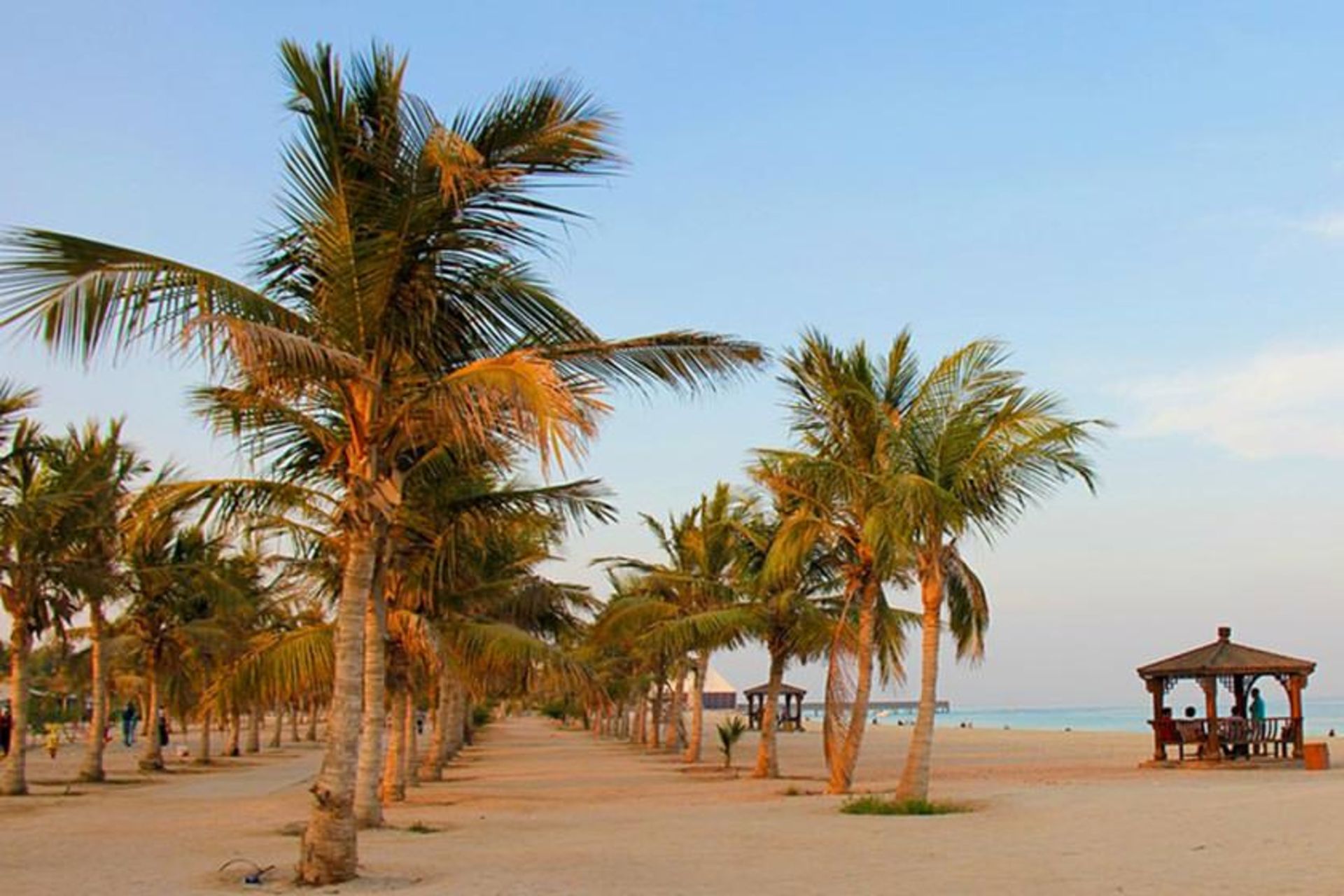 جزیره کیش