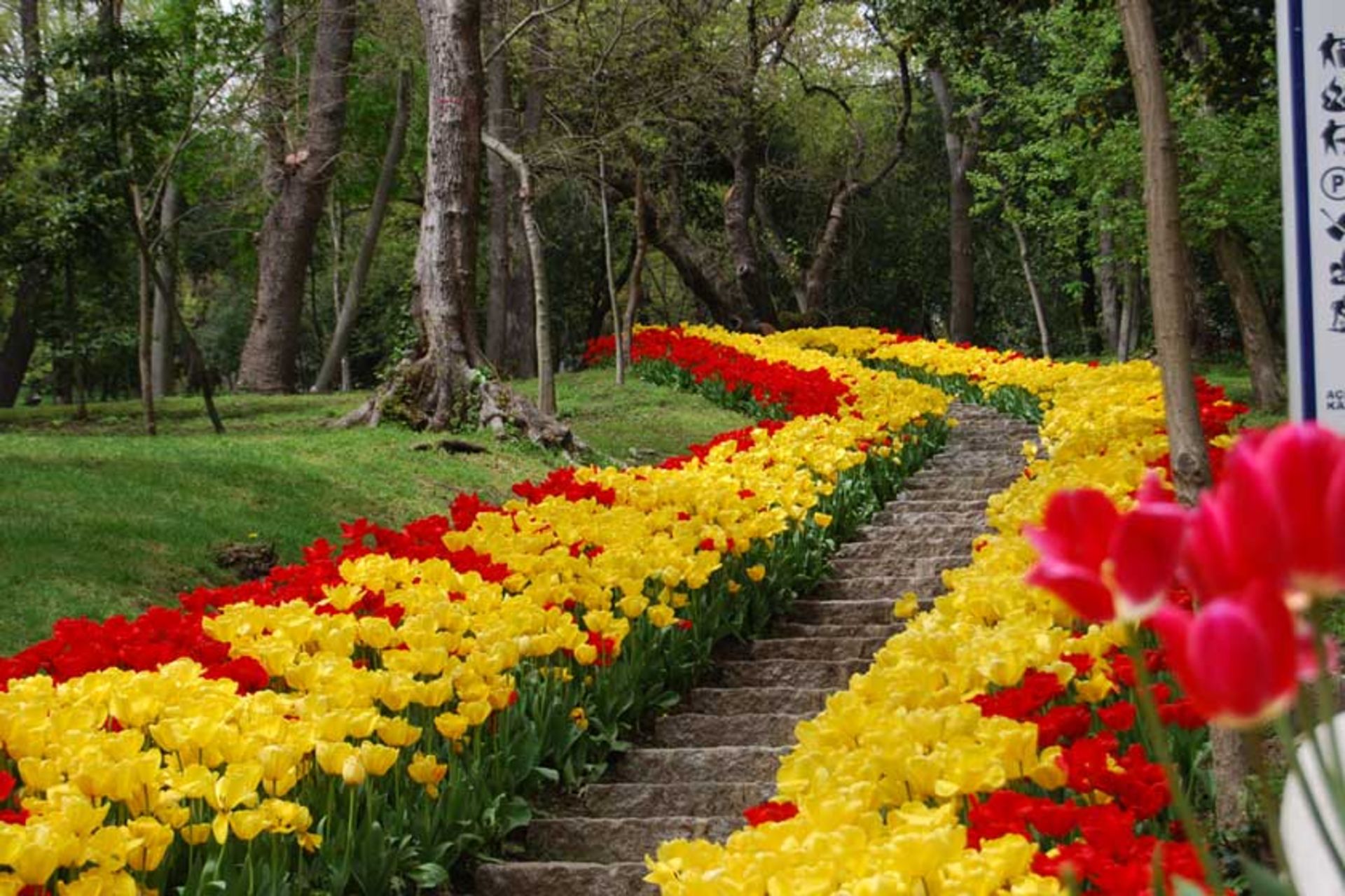 پارک ییلدیز