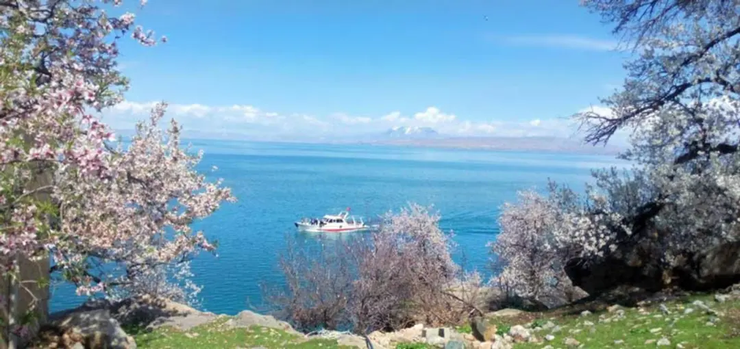وان ترکیه