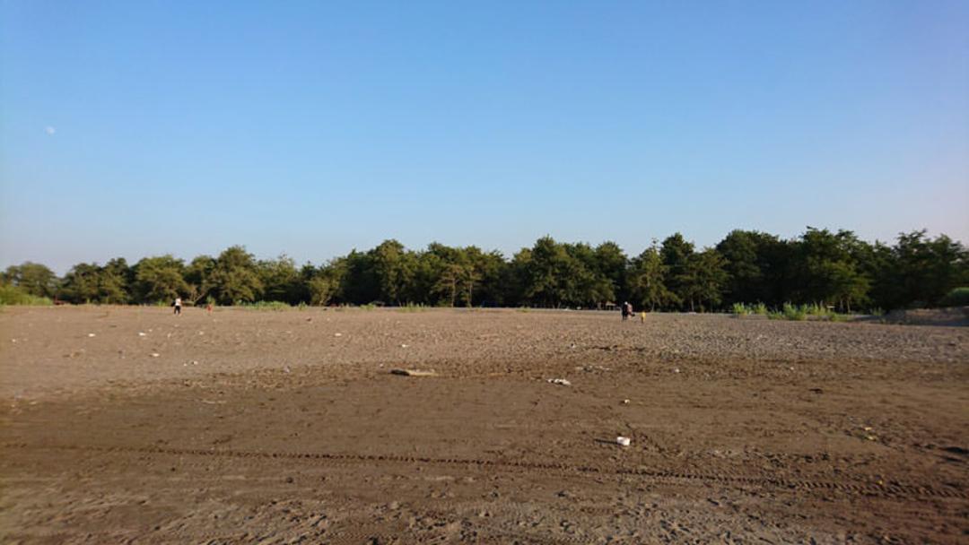 ساحل کهنه میرود