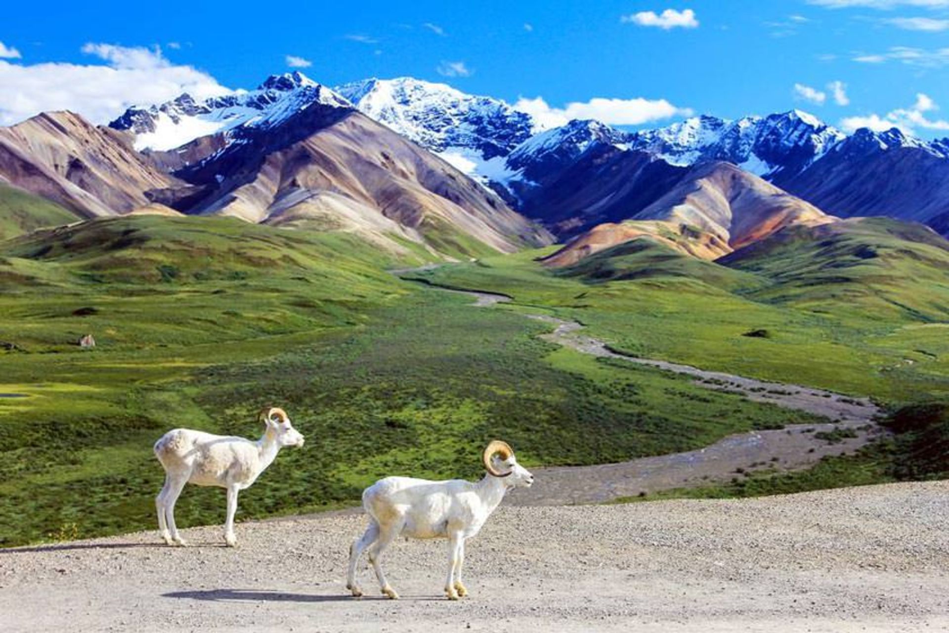 پارک ملی دنالی (پارک ملی دینالی)