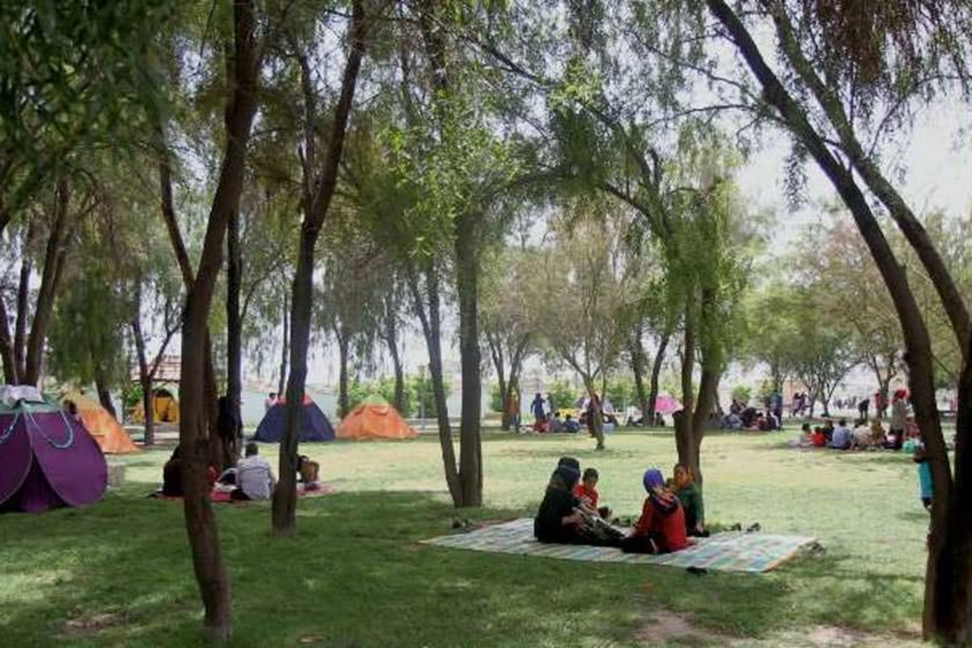 پارک جنگلی چاهکوتاه