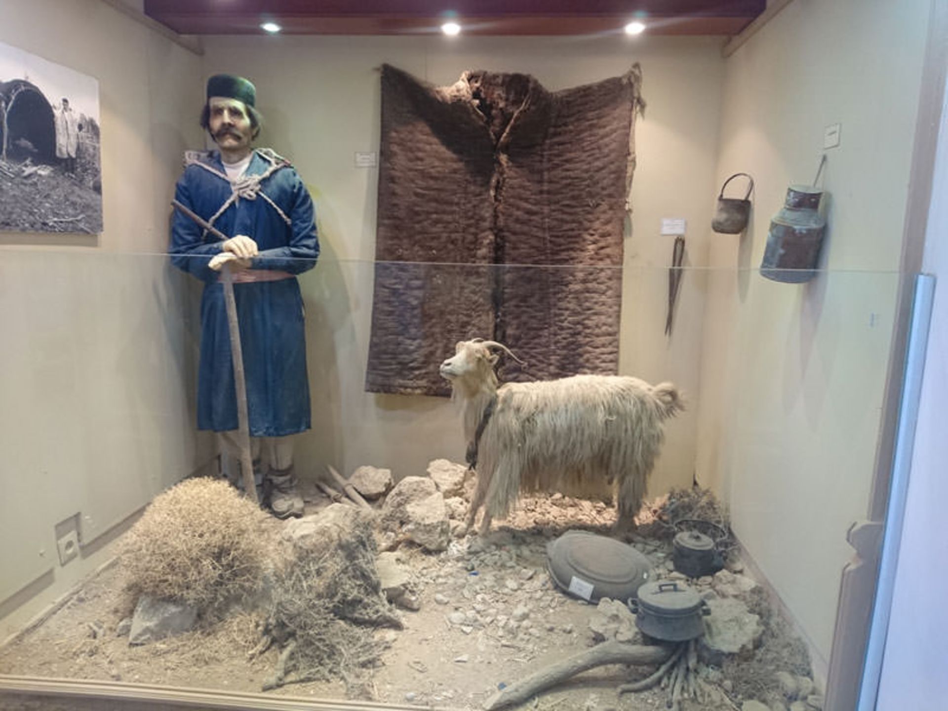 موزه شاهرود