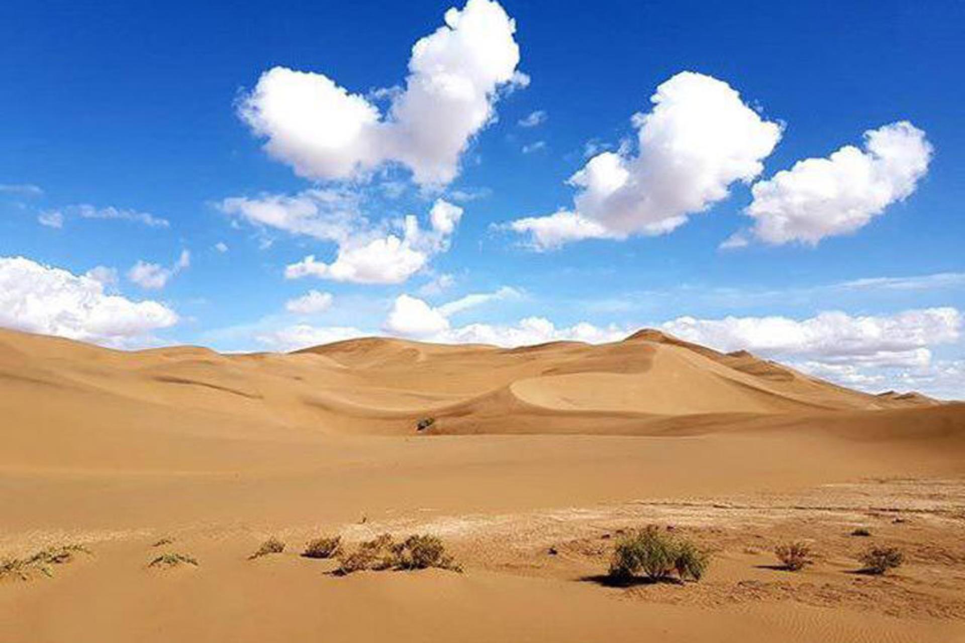 مجموعه گردشگری و پارک طبیعت گردی نی باد کویر زرین