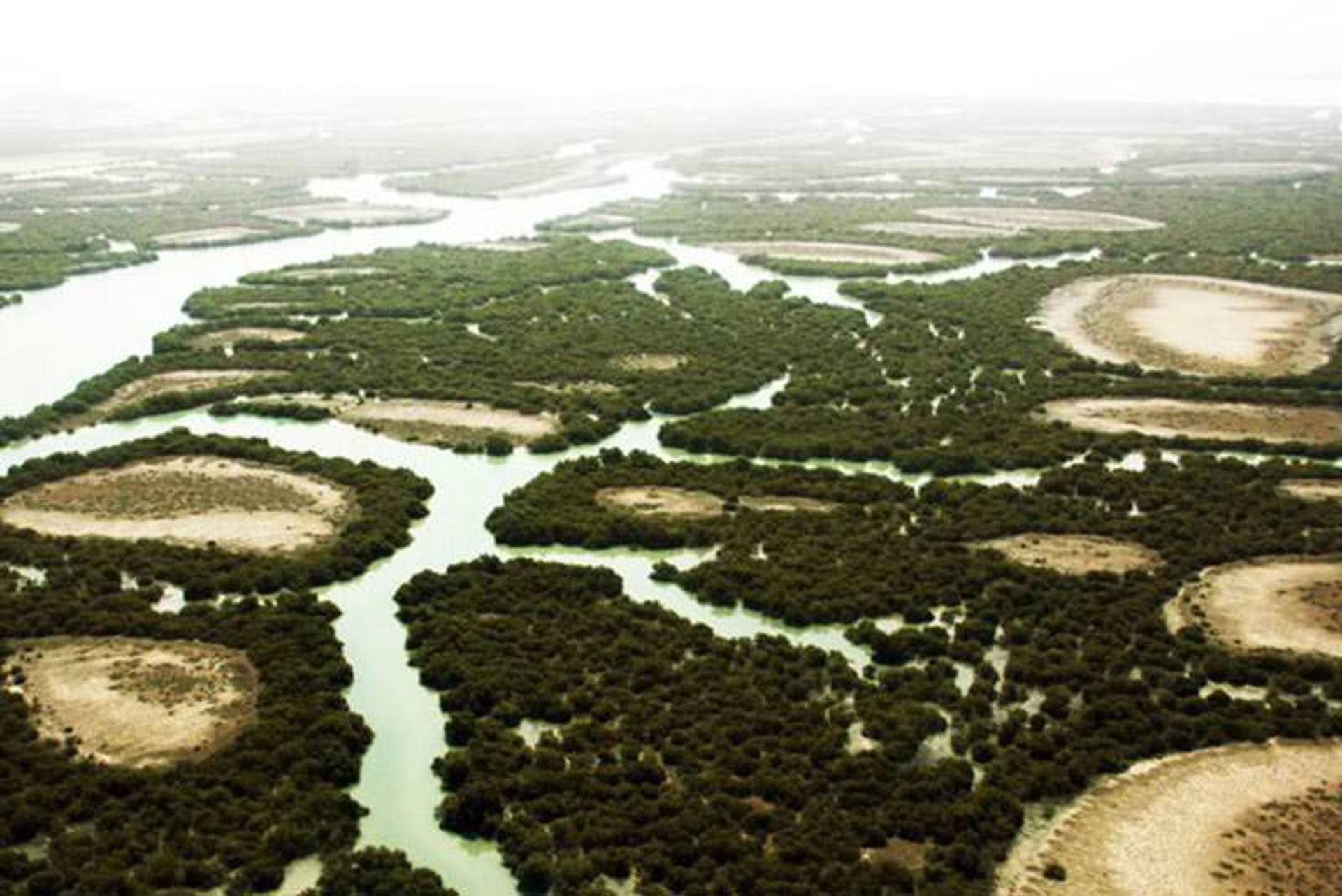 تالاب