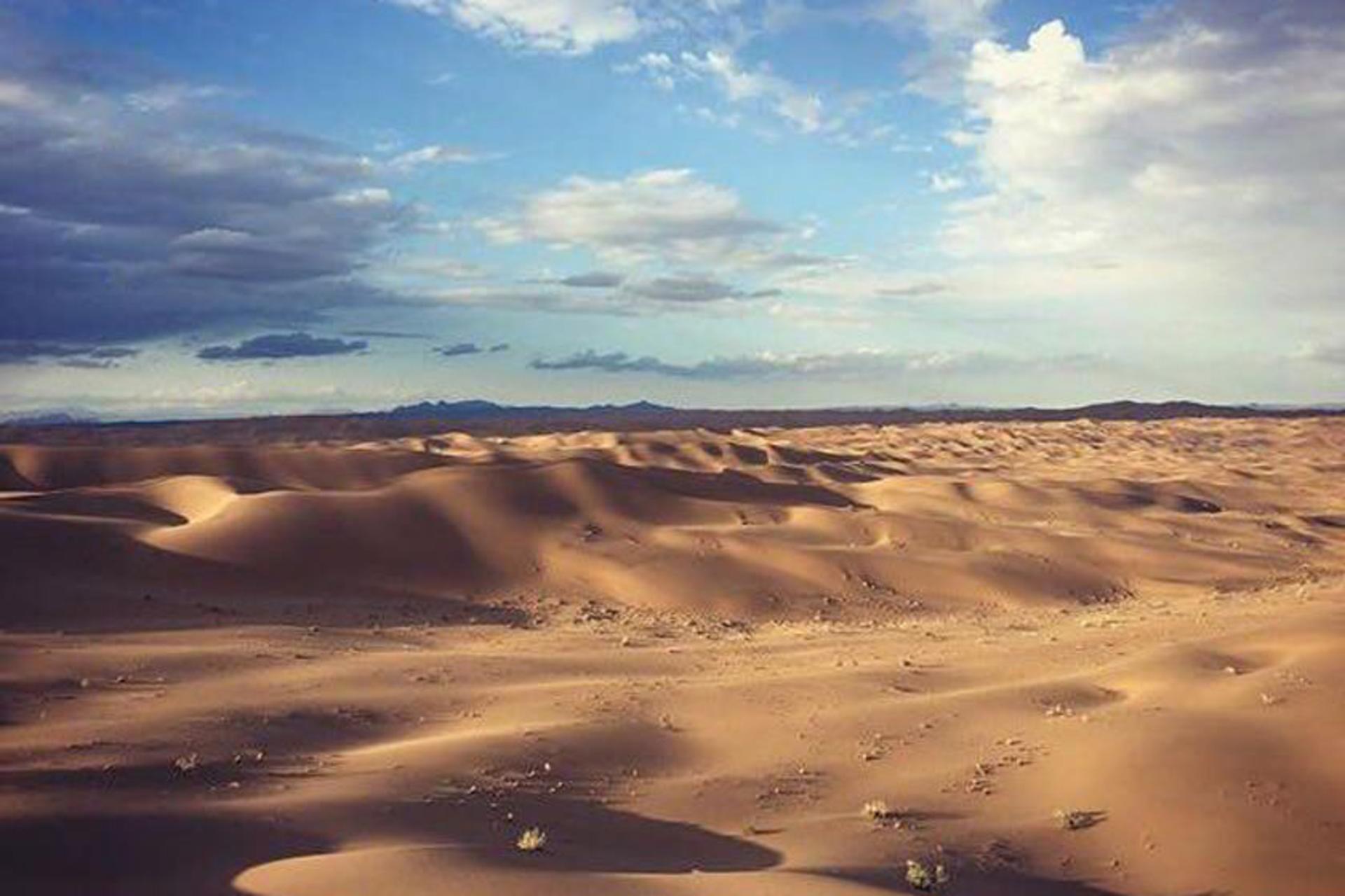 مجموعه گردشگری و پارک طبیعت گردی نی باد کویر زرین