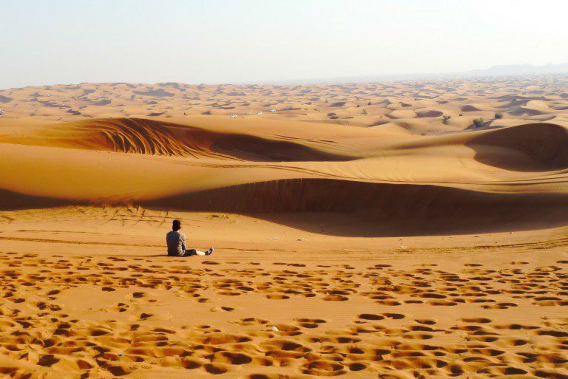 امارت متحده عربی