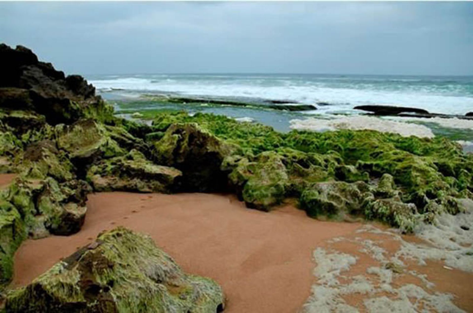 ساحل دریا بزرگ