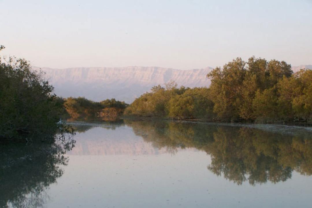 منطقه حفاظت شده حرا