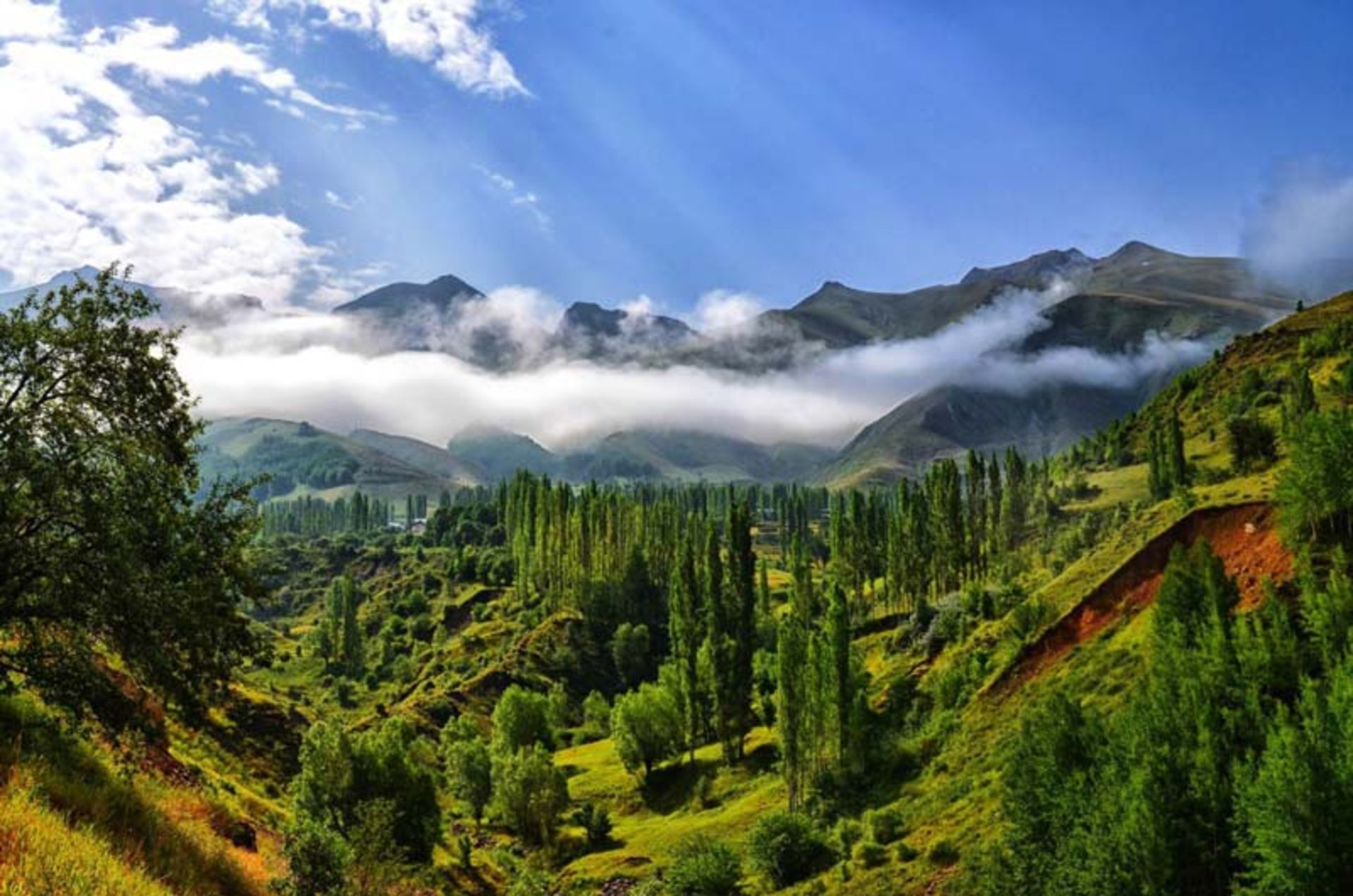 طبیعت ترکیه