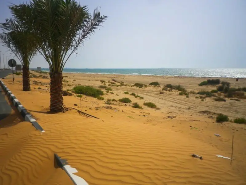 ۶ دلیل برای سفر به امارات
