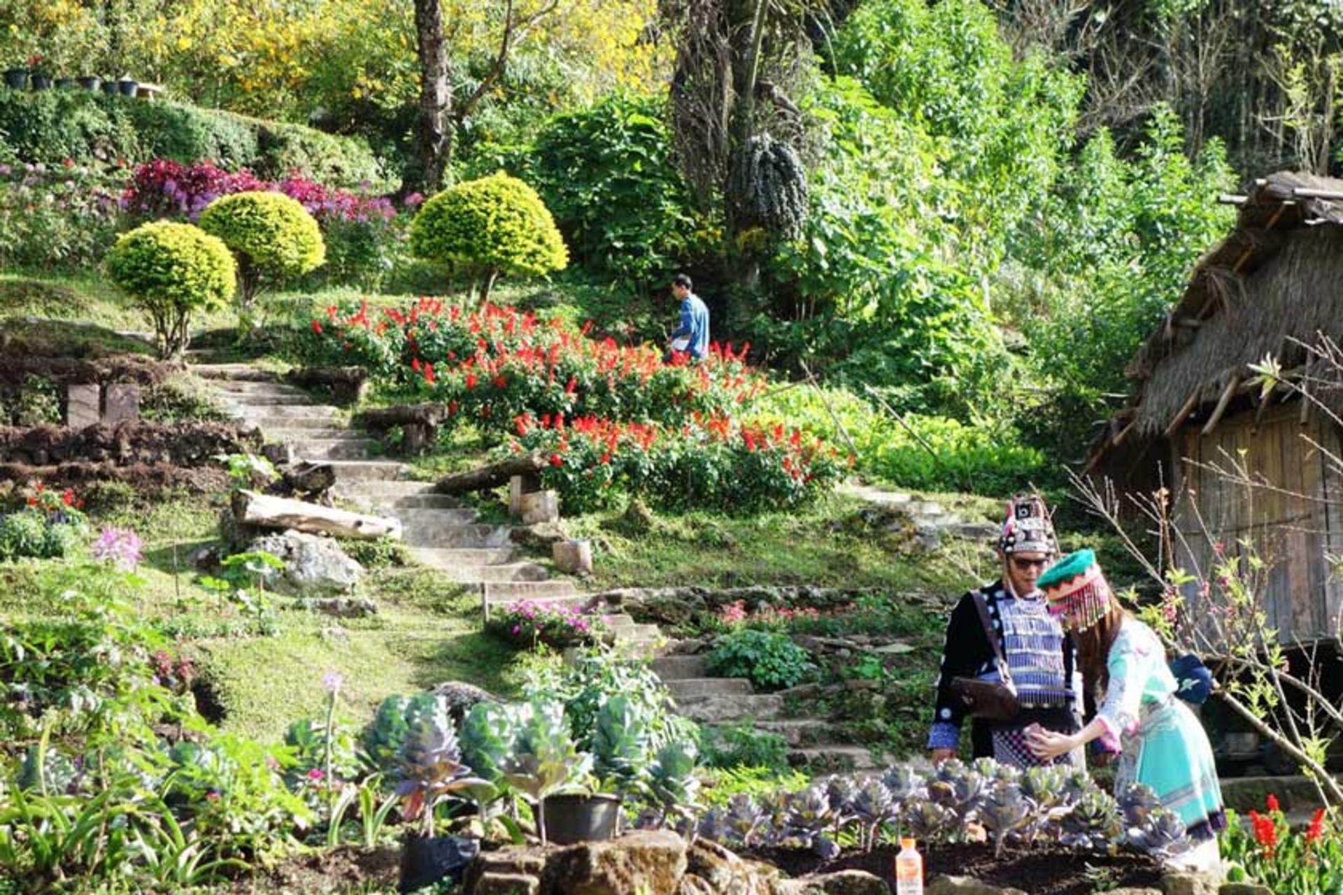 روستای قبیله تپه دوی پوی مونگ