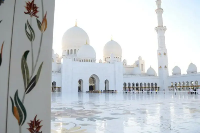 ۶ دلیل برای سفر به امارات