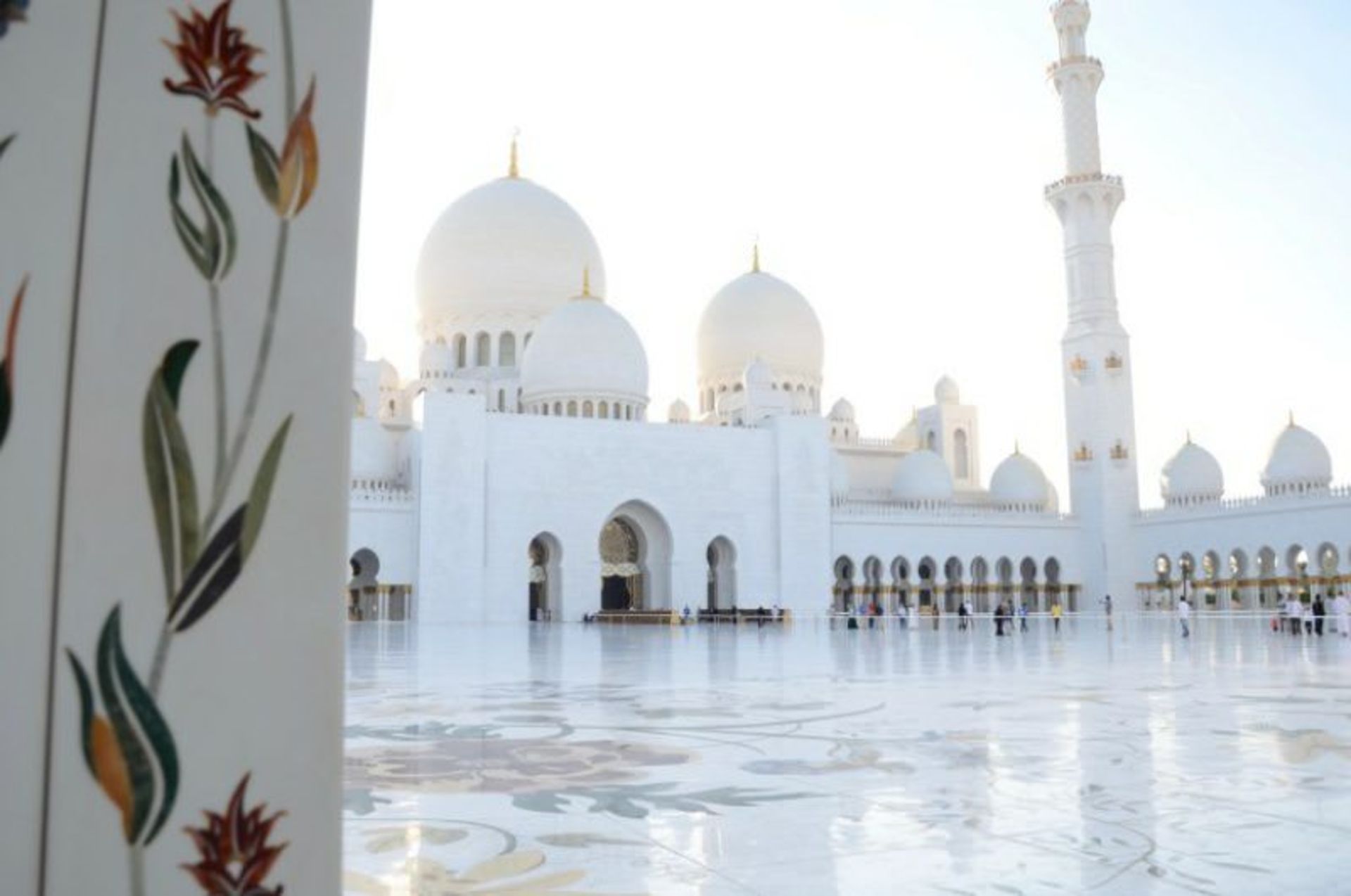 ۶ دلیل برای سفر به امارات