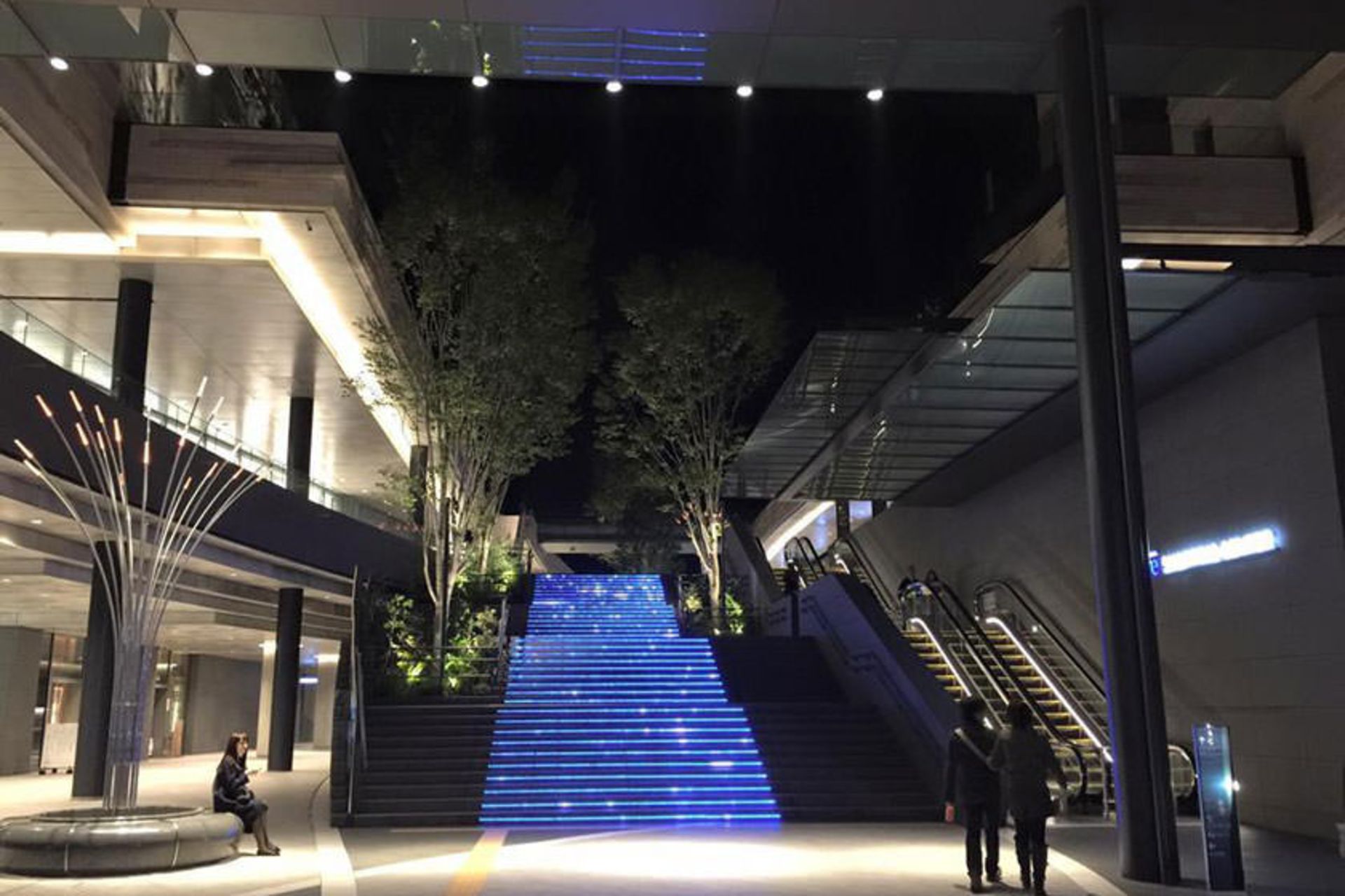 مرکز خرید فوتاکو تاماگاوا رایز