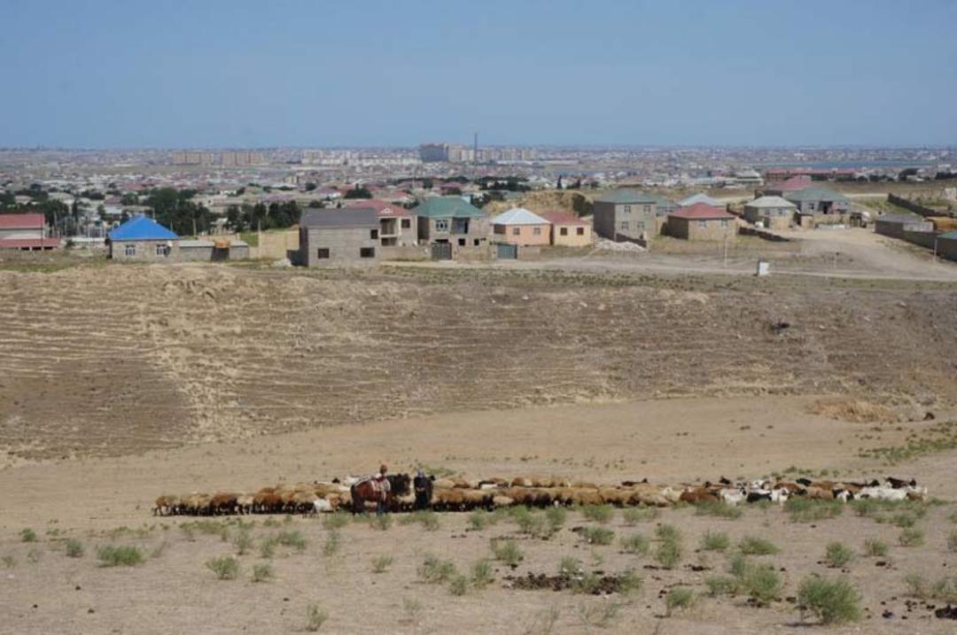 باکو