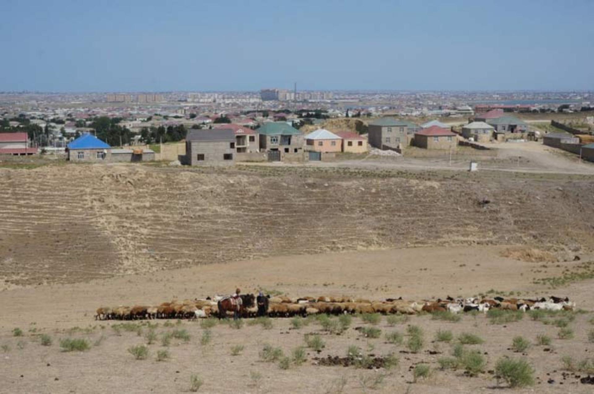 باکو