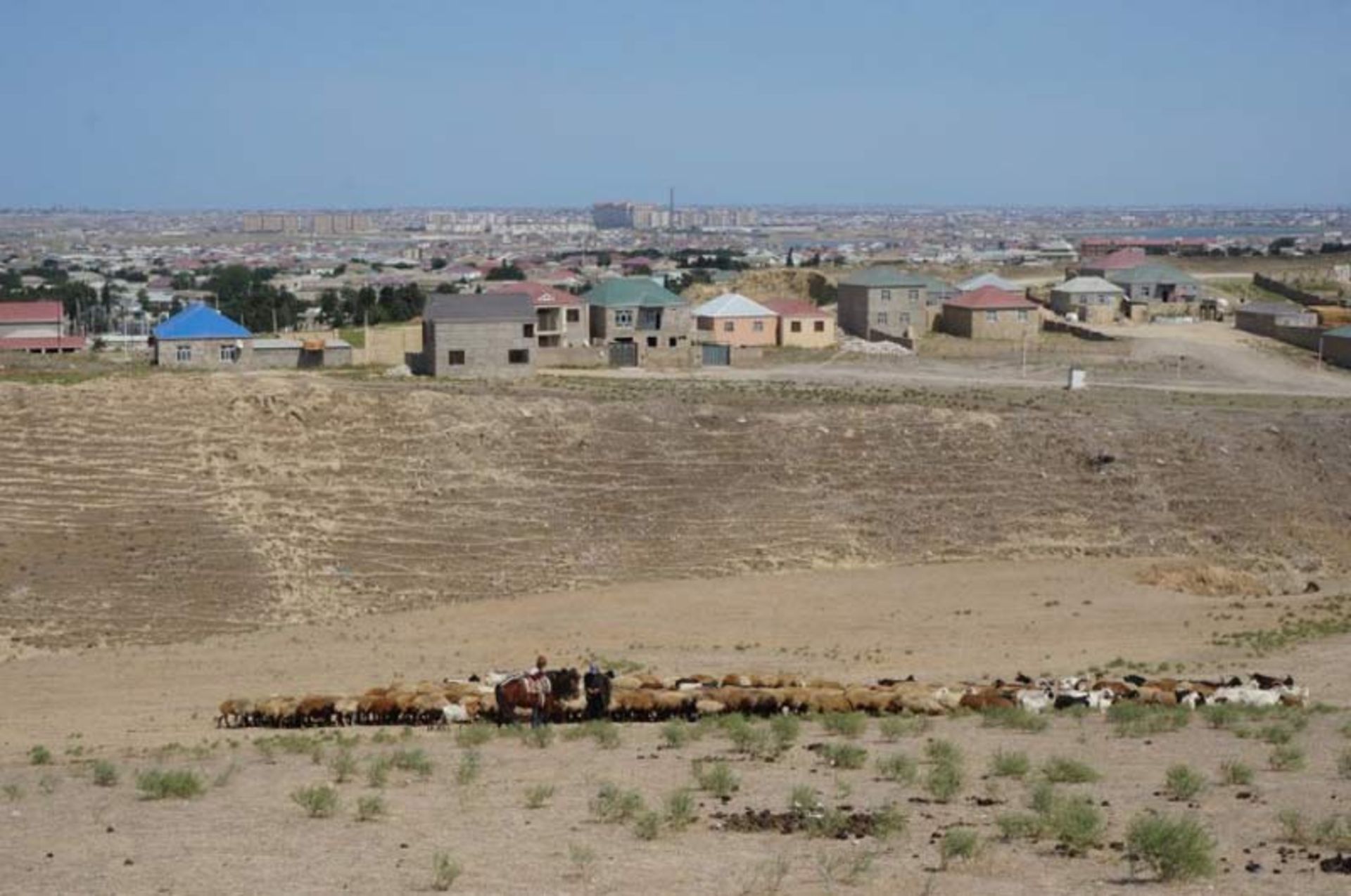 باکو