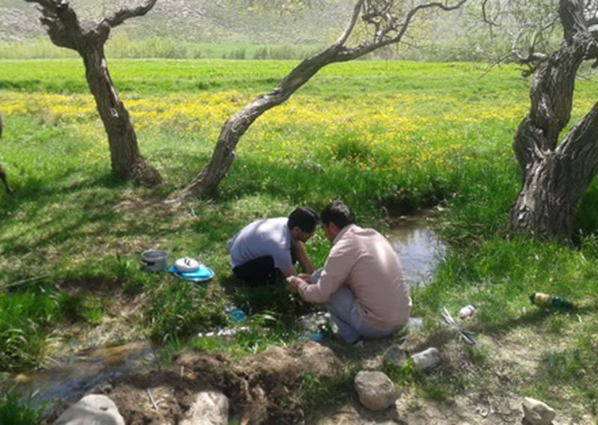 حفاظت از محیط زیست در سفر