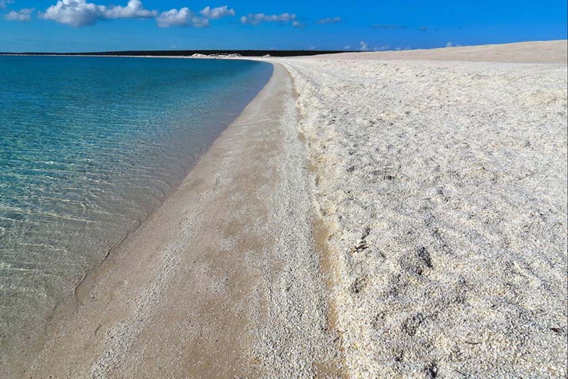 ساحل صدف (ساحل شل)