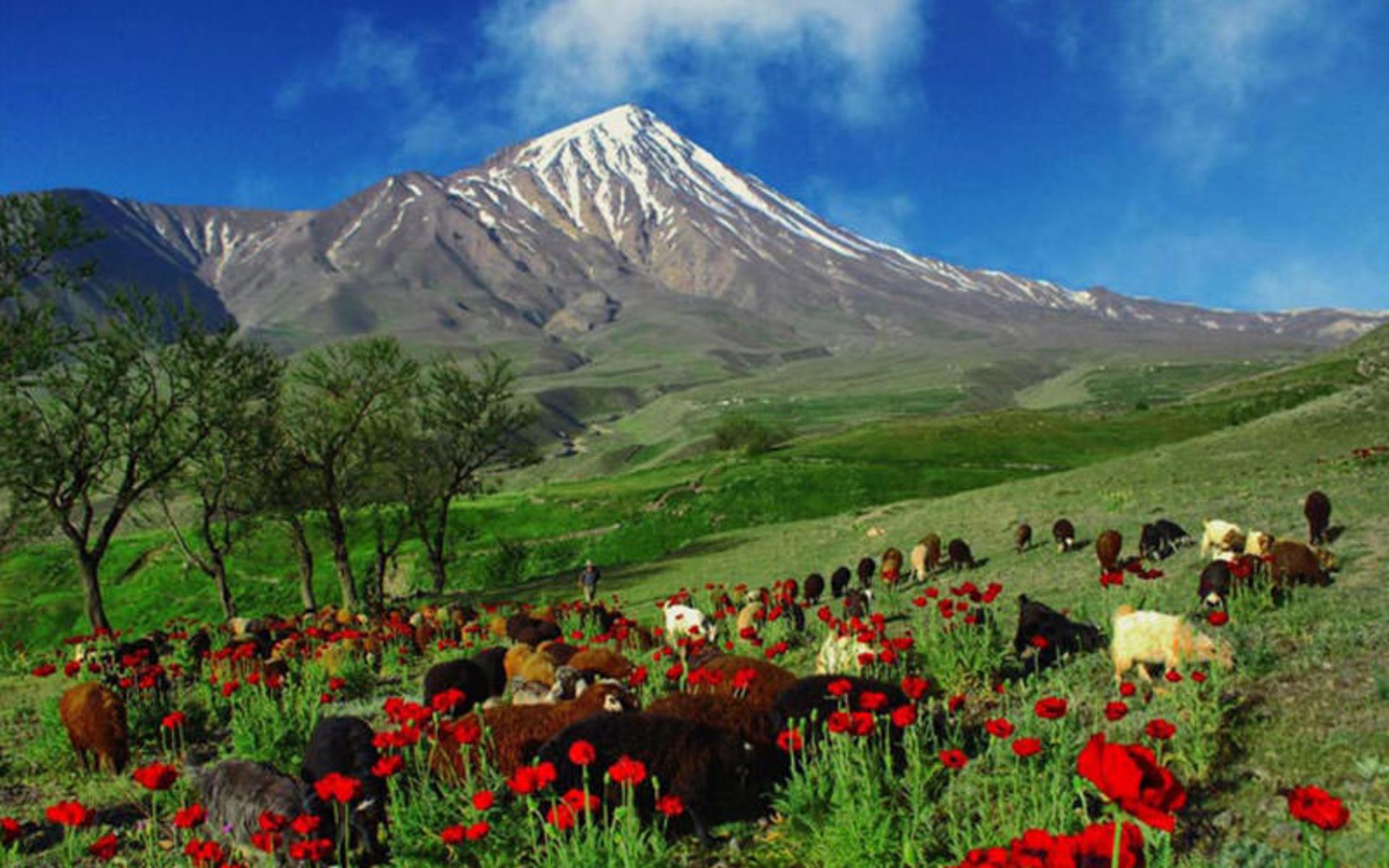 جاذبه های طبیعی ایران