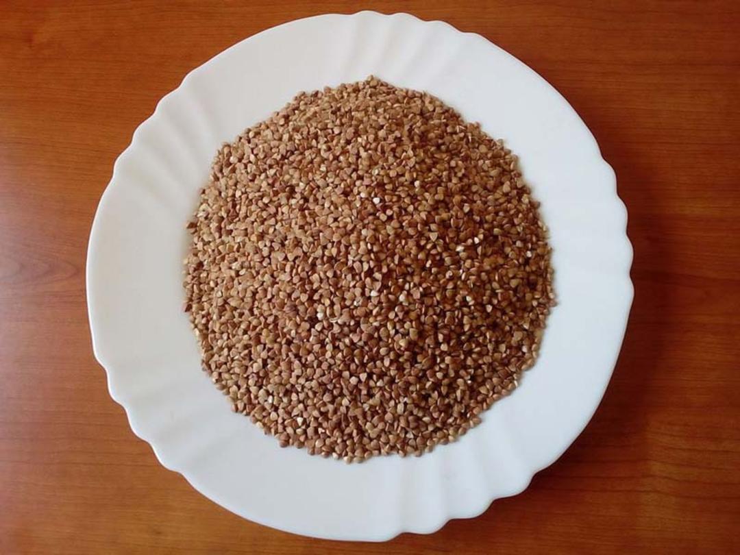 گندم سیاه