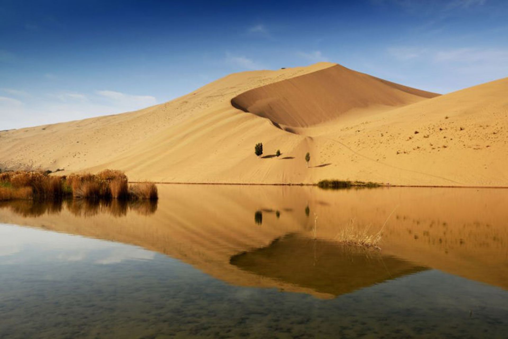 بیابان باداین جاران