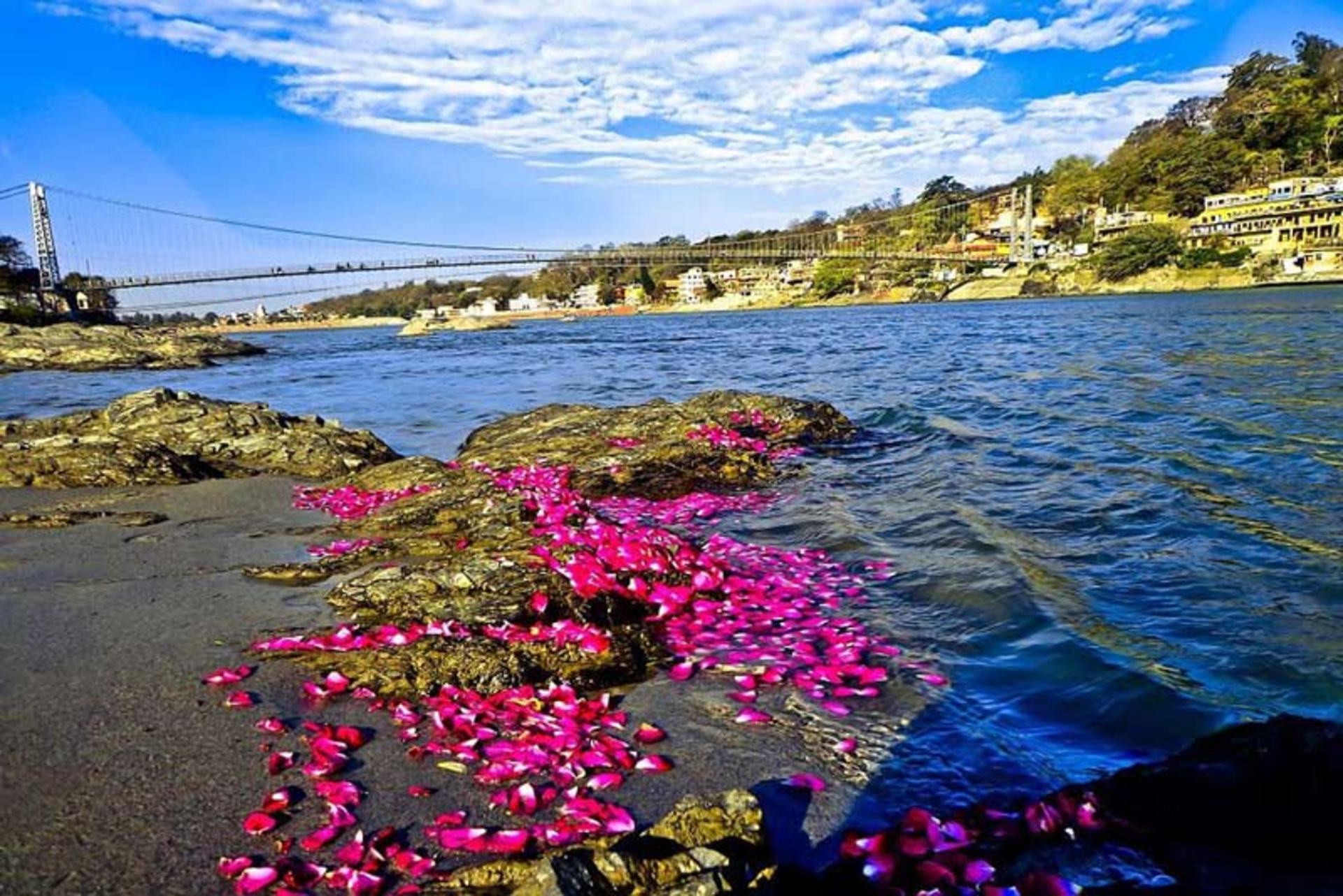 هلریدوار هند