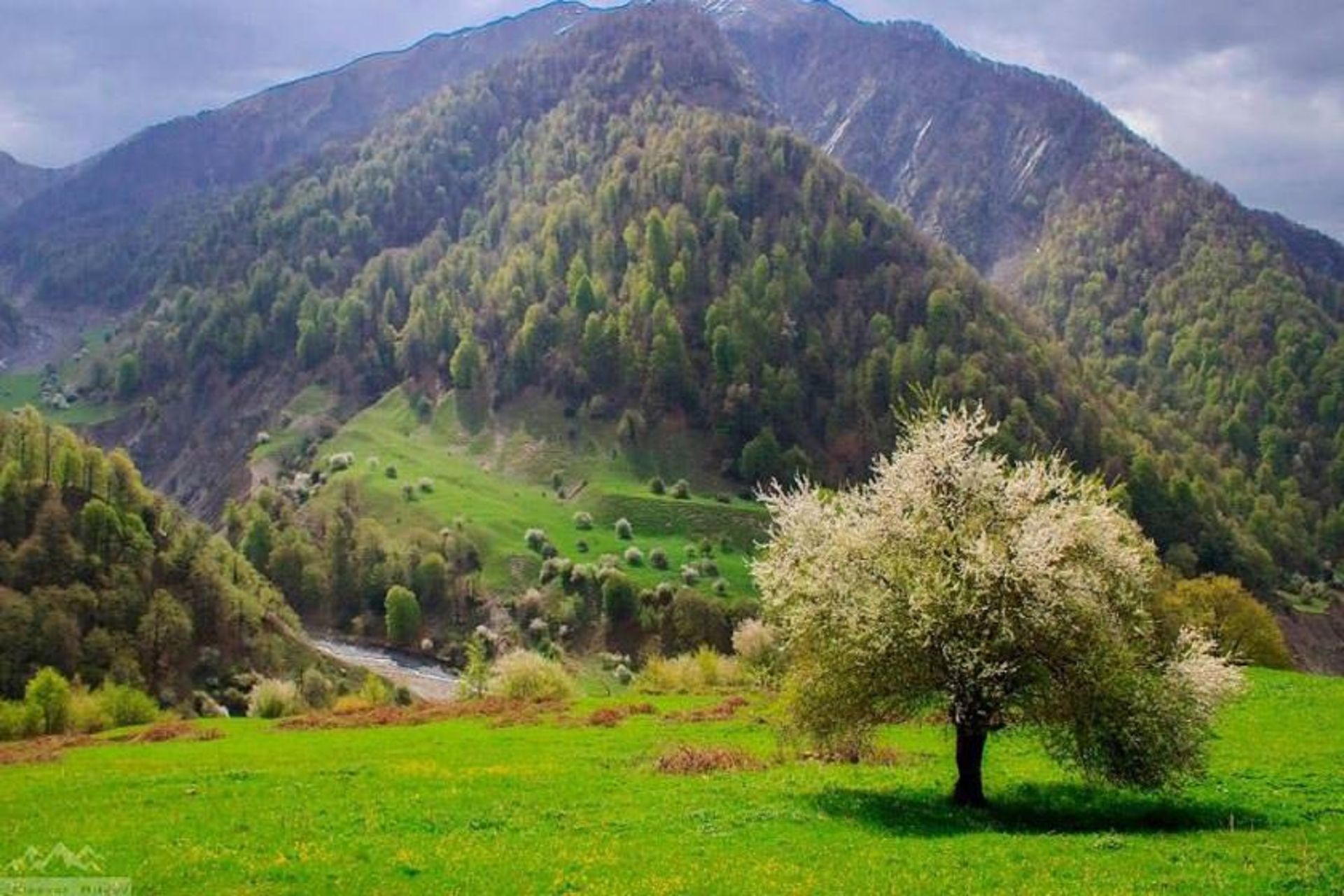 پارک های ملی آذربایجان