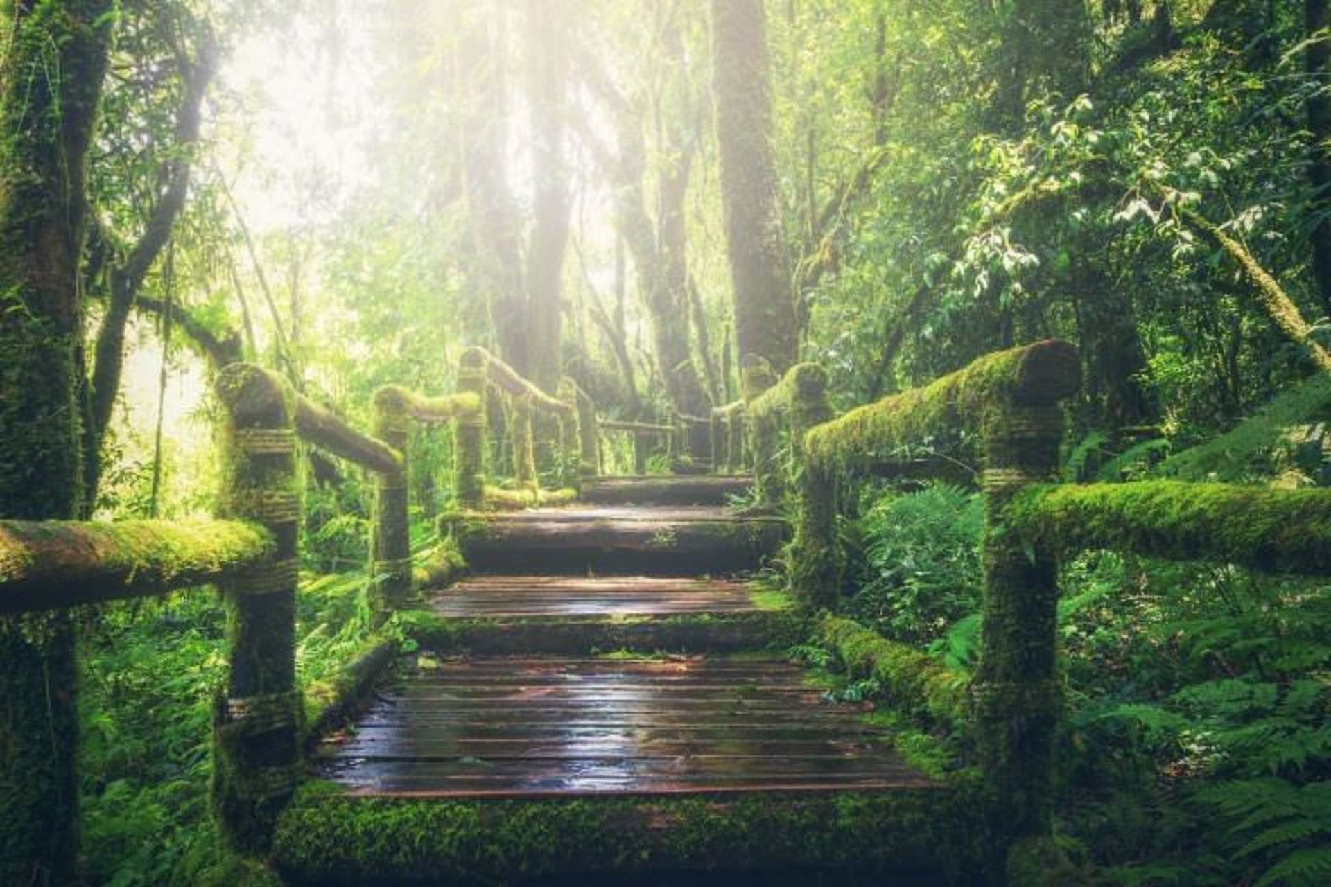 ۱۵ دلیل برای سفر به تایلند