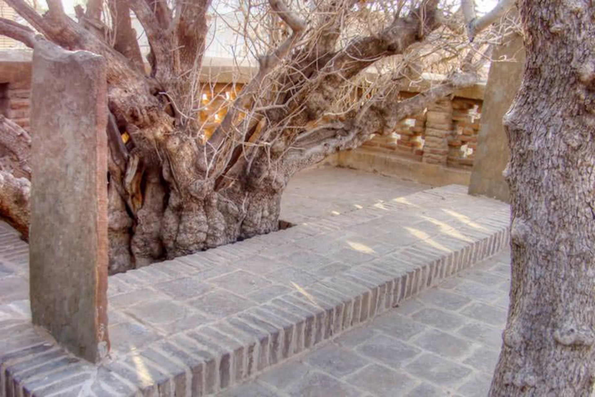 آرامگاه حافظ ابرو
