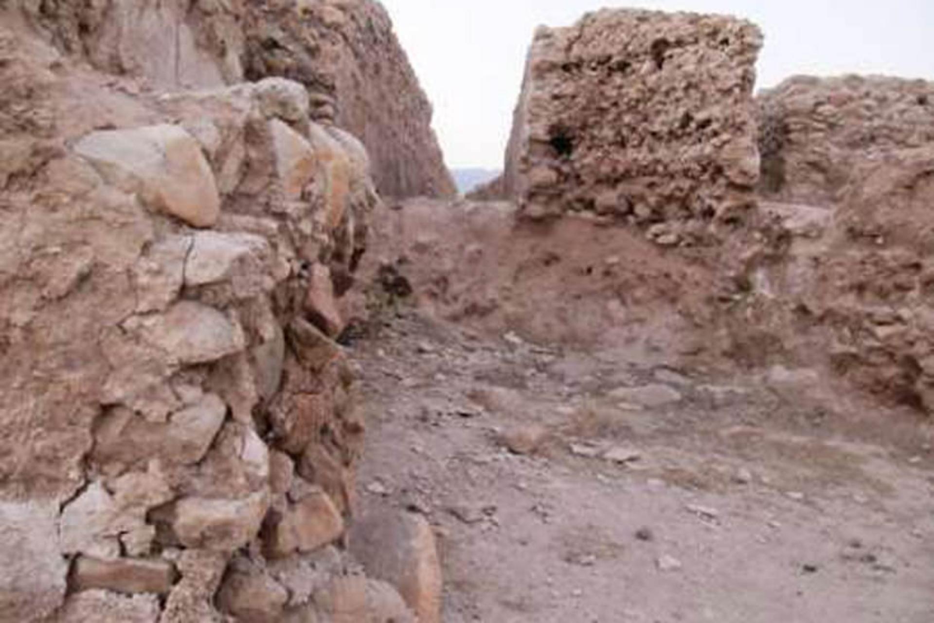 کاخ اربابی
