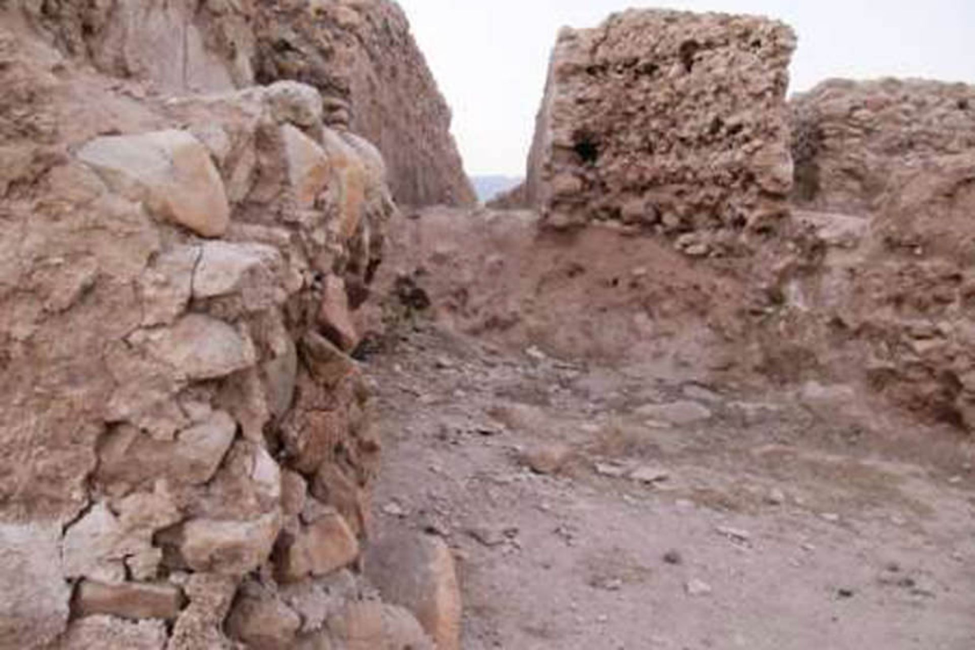 کاخ اربابی