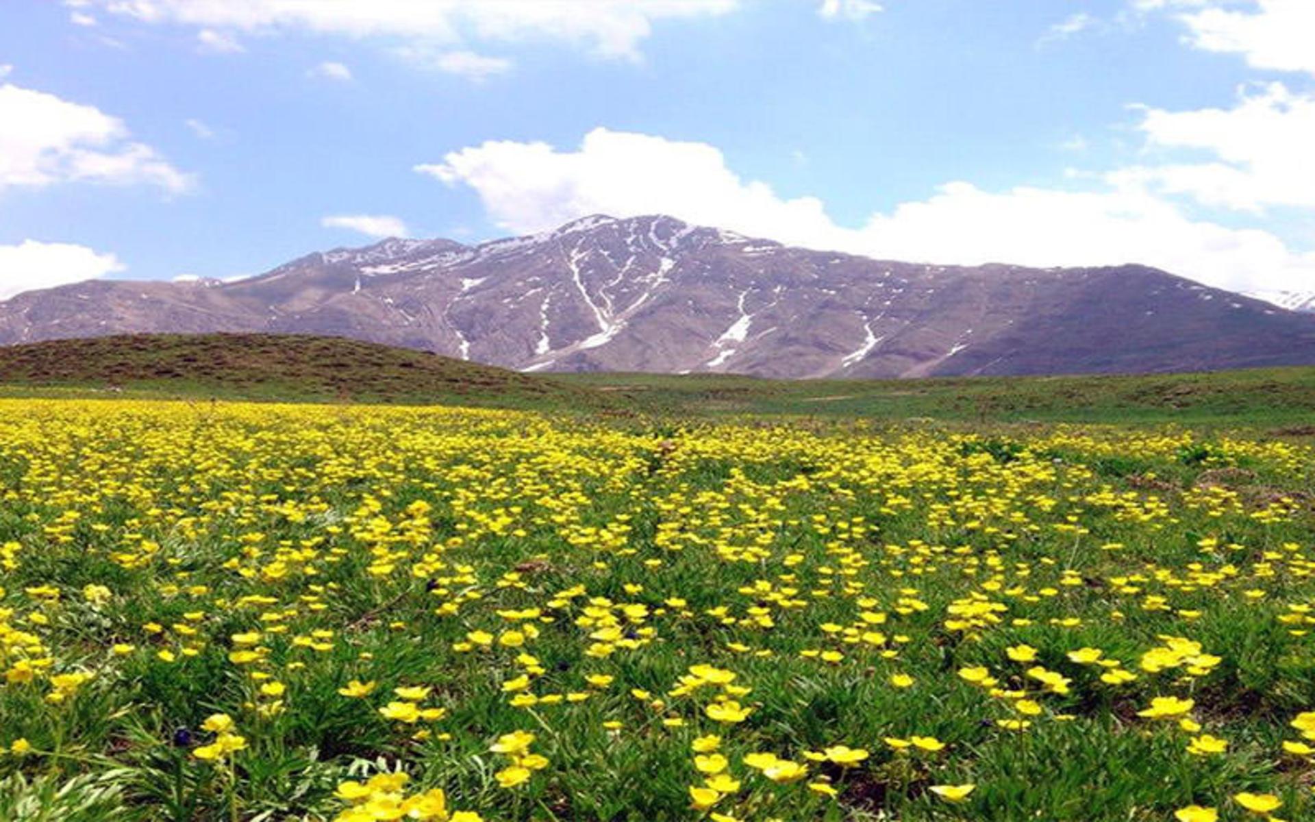 باغ های ایرانی