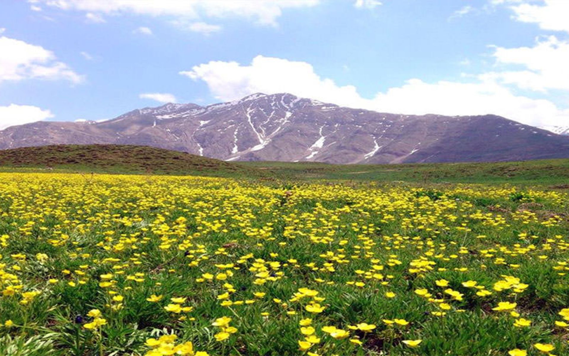 باغ های ایرانی
