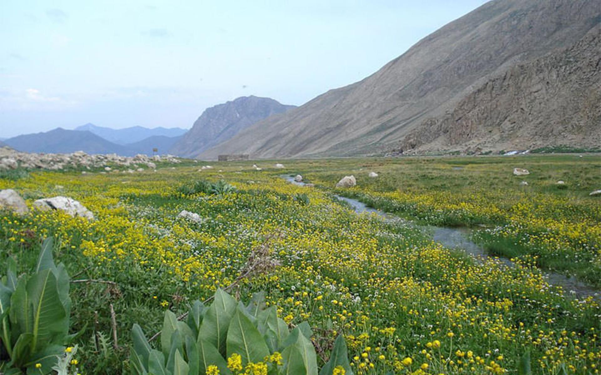 دره های ایران