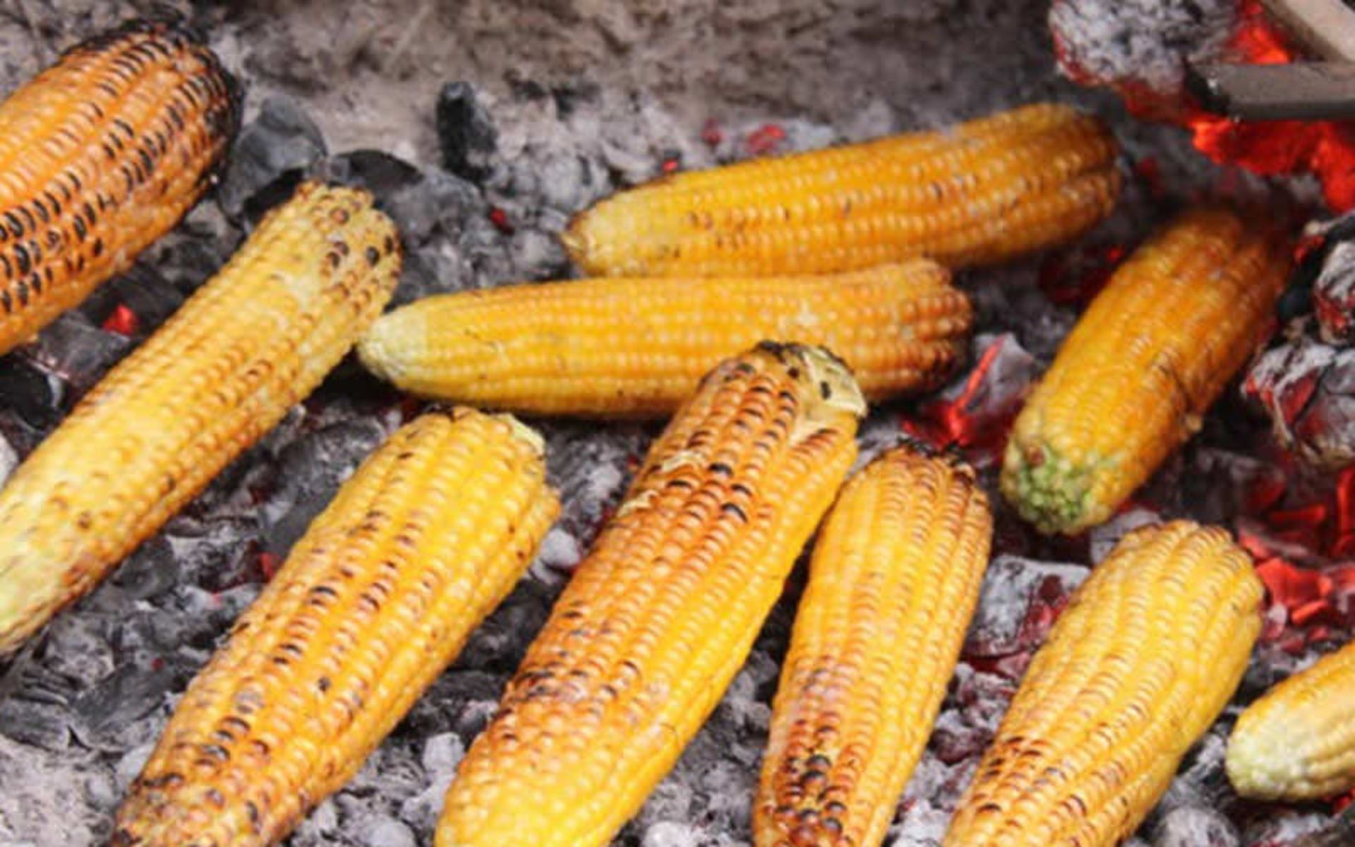 خوراکی‌های خیابانی تهران