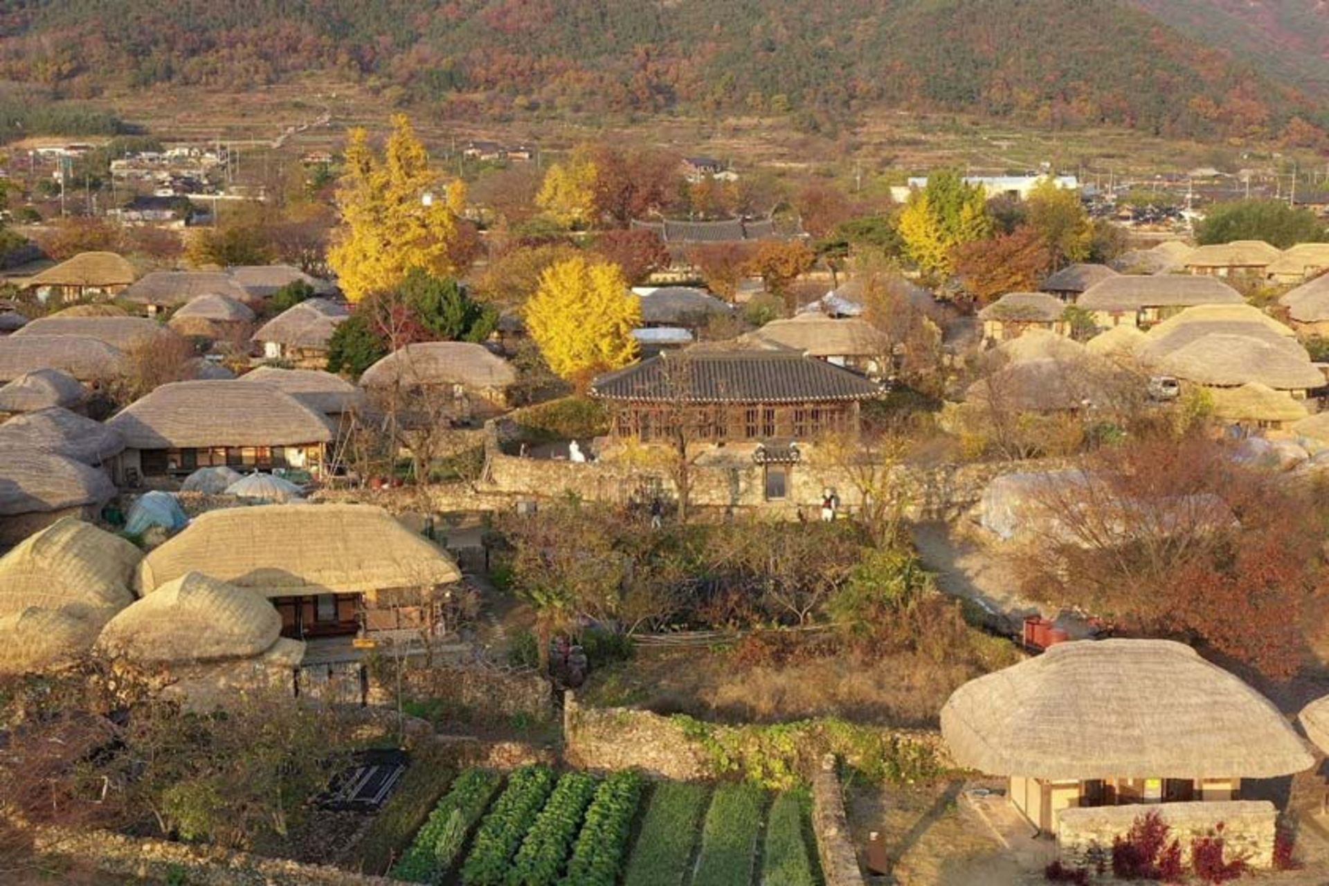 روستای قومی ناگان اوپسئونگ