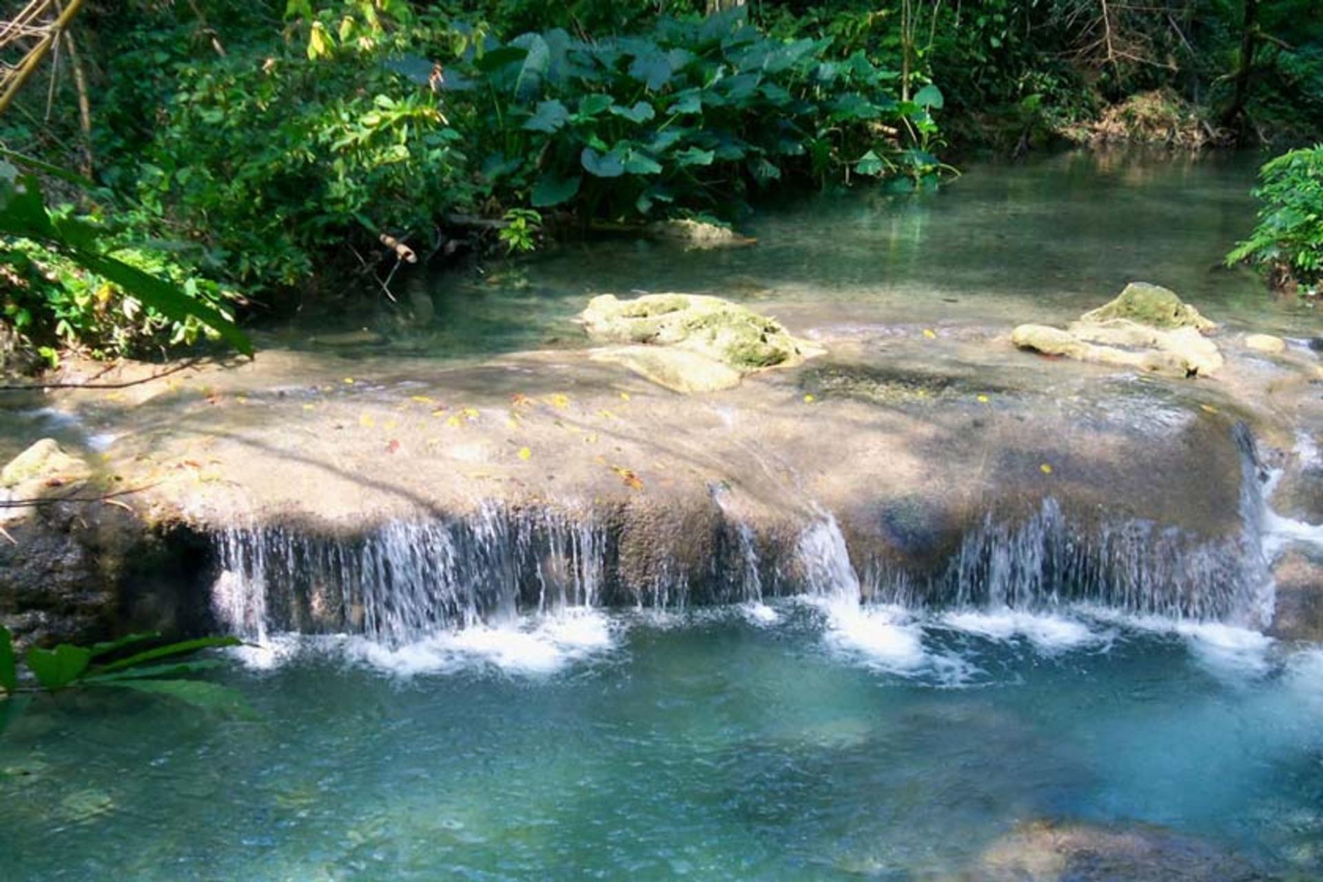 آبشار می فیلد